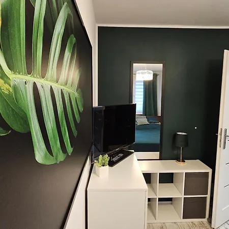 Zielona Przystań Apartament
