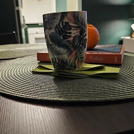 Zielona Przystań Apartament *