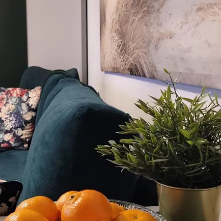 Zielona Przystań Apartament *