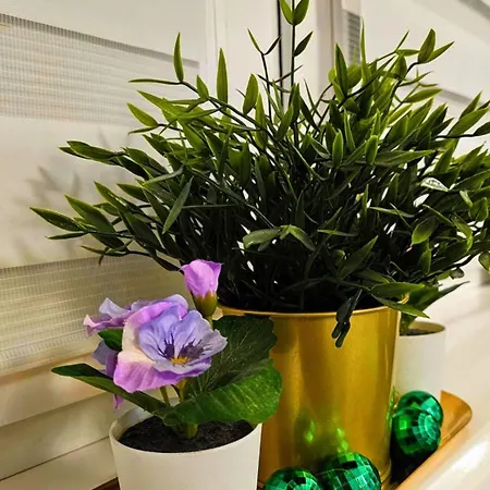 Zielona Przystan Apartmán Gdaňsk