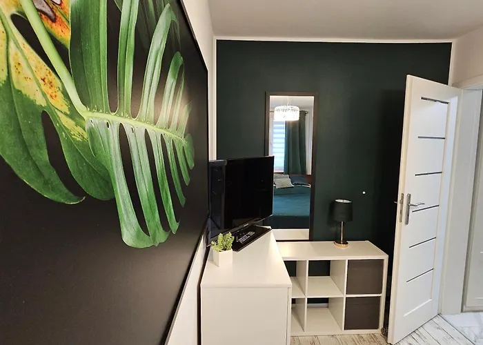 Zielona Przystań Apartament