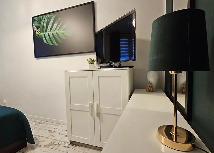 Zielona Przystań Apartament *