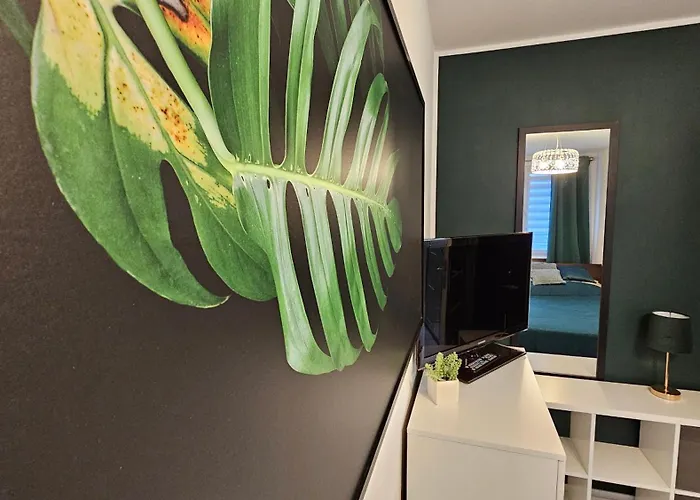 Zielona Przystań Apartament