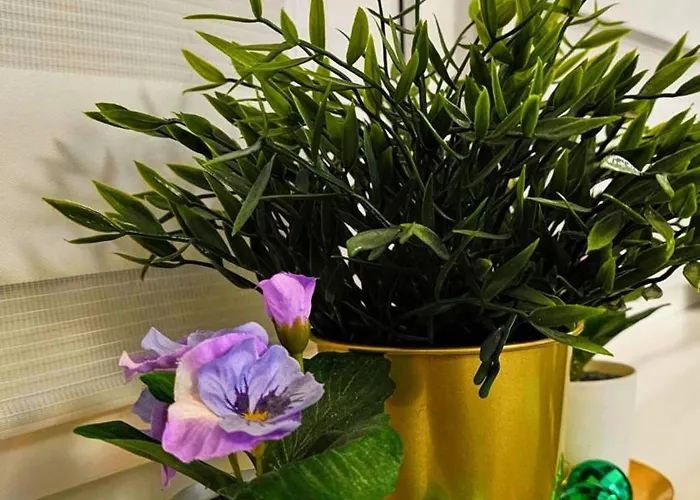 Zielona Przystań Apartament Gdańsk