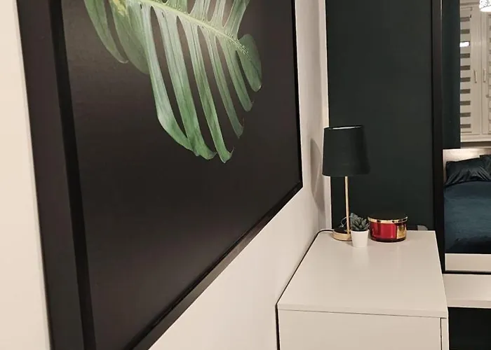 Zielona Przystań Apartament